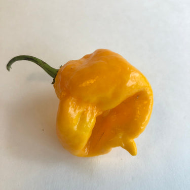 Yellow Reaper Cross - Seeds - The Pepper Pantry (Formerly Marie Sharp's)